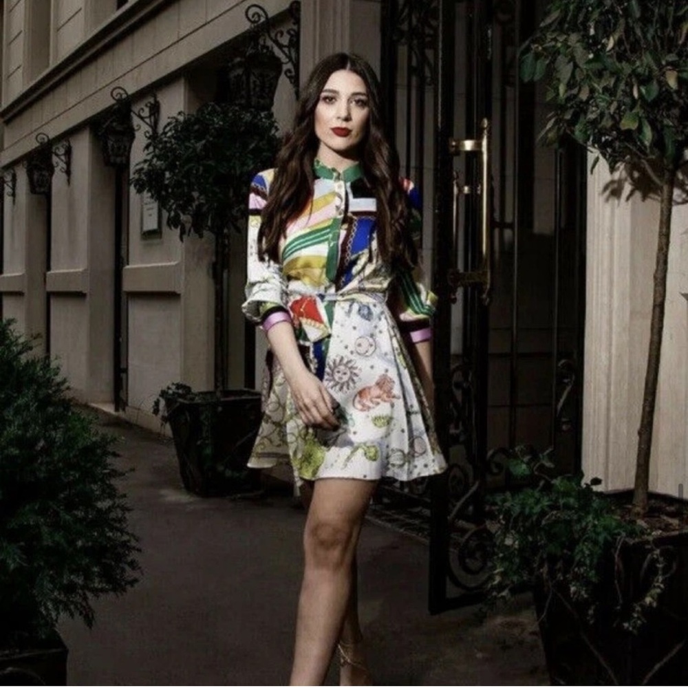 Zara Multicolor Long Sleeve Dress - Picture 8 of 15